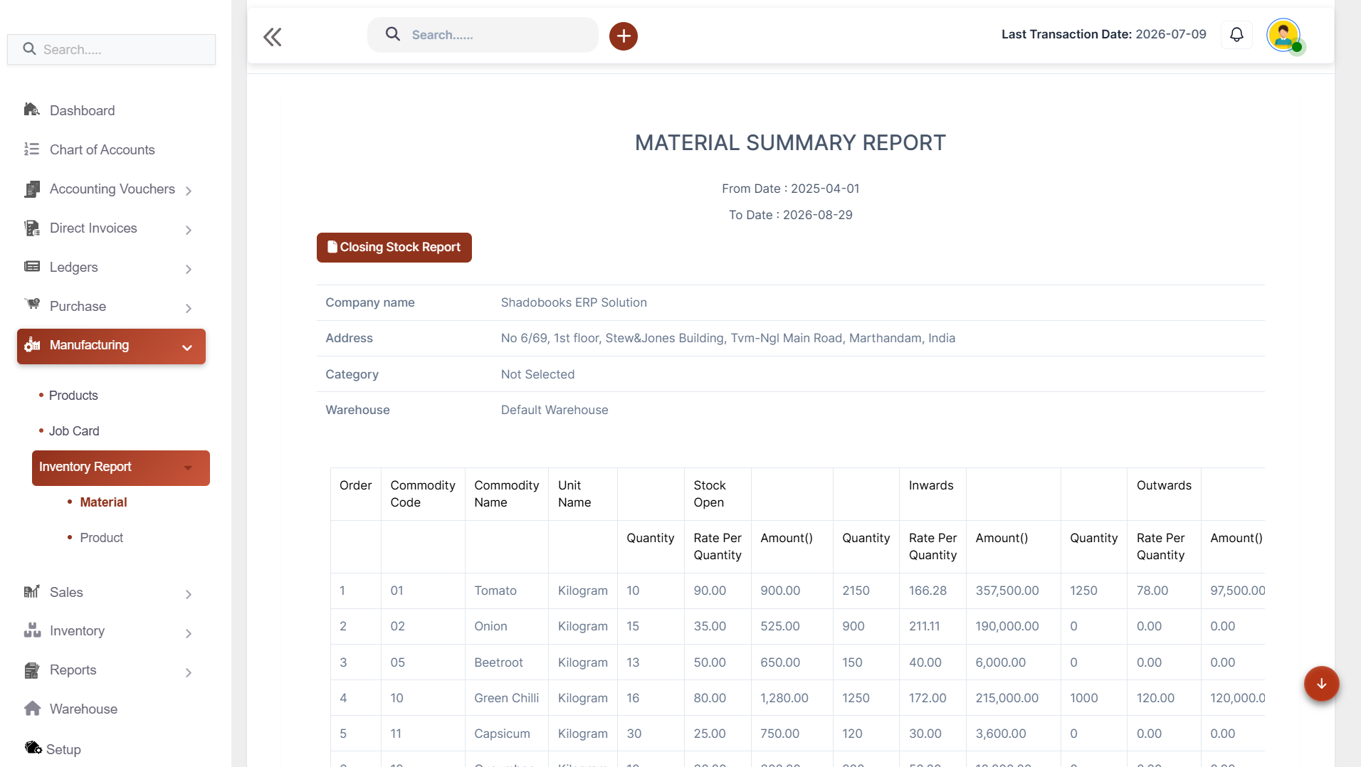 Stock Summary Report Accounting Software